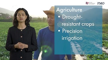 Climate Investor Playbook | Climate adaptation and resilience investing