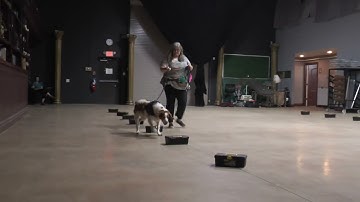 NACSW NW3 Container Search