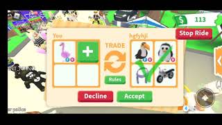 What People Trade For Flamingo Adopt me!(Что дают за фламинго в адопт ми!