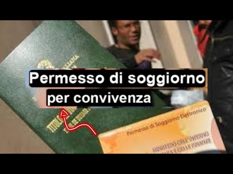 Video: Cos'è il soggiorno?