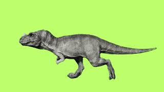 Ceratosaurus Walking Cycle - Animation #dinosaur #dinosaur #dino 
