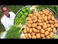 Chilli Potatoes Recipe | Honey Chilli Potato Recipe | Easy Potato Starter Recipe By Grandpa Kitchen