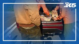 Day laborers rely on work to survive, but fear of ICE arrests has changed the stakes