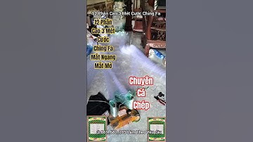 Lưới Đánh Cá 12 Phân Cao 3 Mét Sợi Cước Ching Fa Mắt Ngang Mắt Mở Chuyên cá Chép