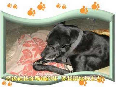 來福  (改編自薔薔)