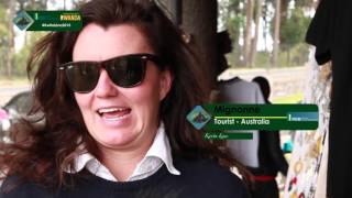 Tourists Share Their Unique Encounter With The Rwandan Mountain Gorillas - Kwita Izina 2015
