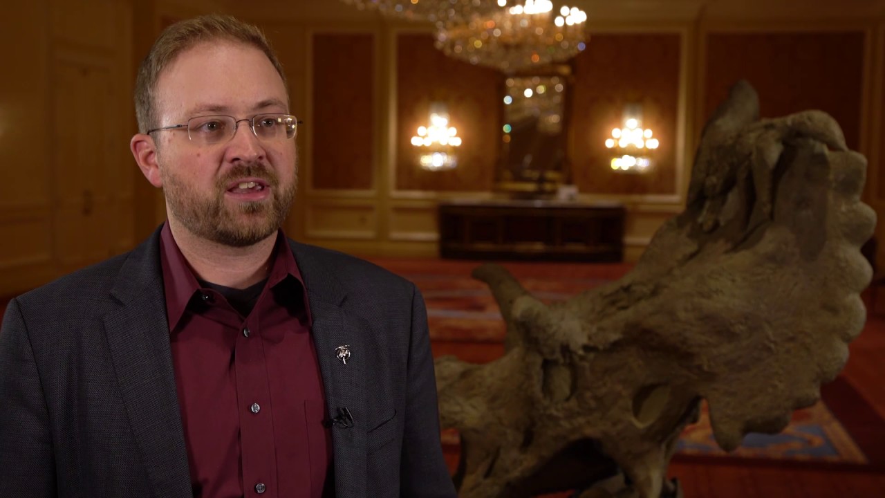 natural numbers Randy Irmis: Collaborating with Other Scientists