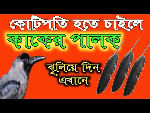 ভিডিও: কাকের পা কি?