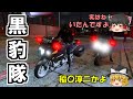 【交機】黒豹隊で夜間取締り!漆黒のロングカーチェイス!!