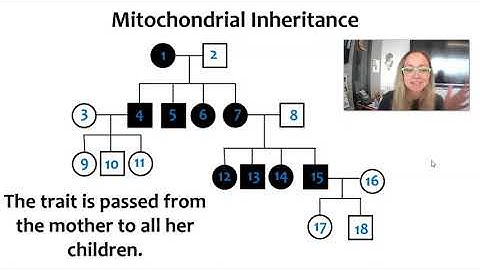 AP Biology Topic 5.4: Nonnuclear Inheritance