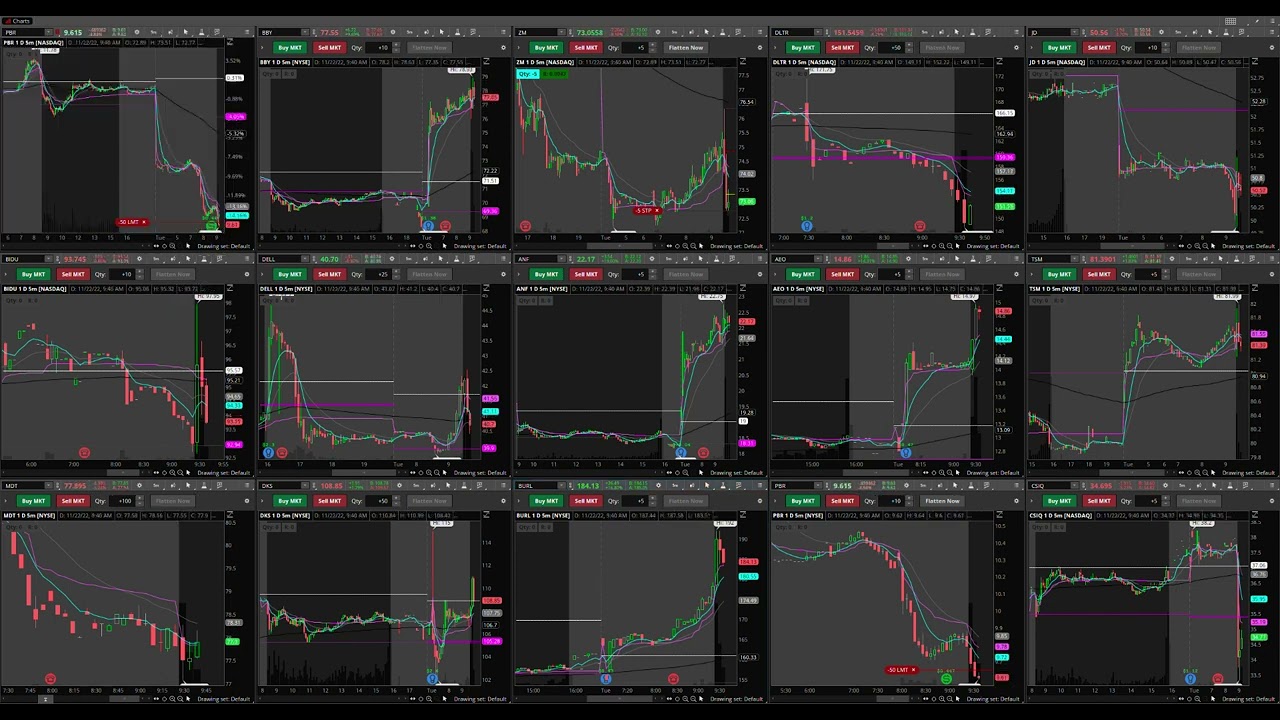 2022/11/22 - BURL, MDT, PBR, ZM, AEO, DLTR (break-even)