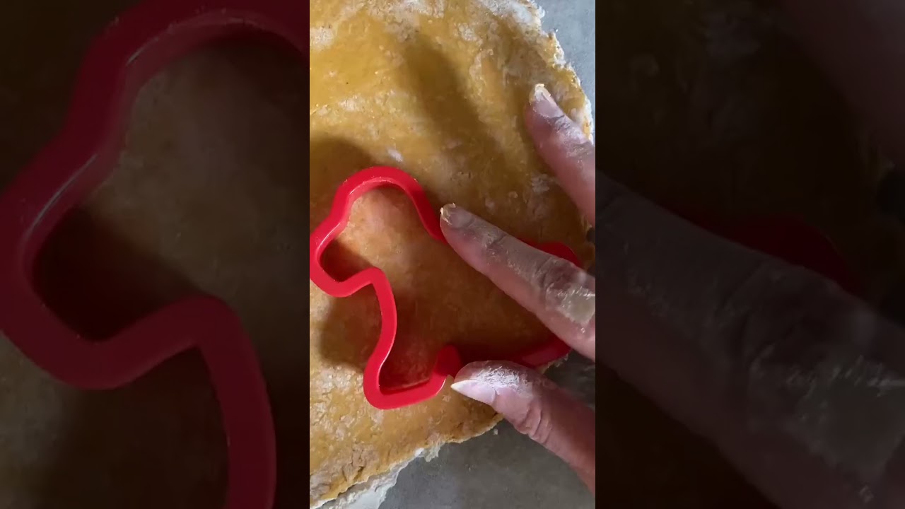 Pawsome Treats for Your Furry Friend! 