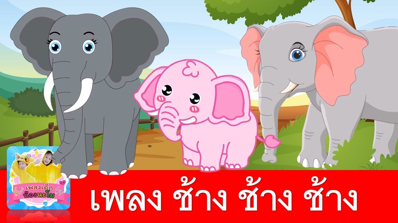 เพลงช้าง ช้าง ช้าง น้องเคยเห็นช้างหรือเปล่า | รวมฮิตเพลงช้าง 5 เวอร์ชั่นน่ารักหลากหลายสี ให้เรียนรู้