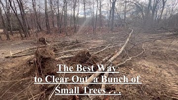 The Best Way to Clear Out a Bunch of Small Trees - Bobcat e42 Mini Excavator