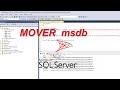 Cómo mover la base de datos msdb en SQL Server correctamente