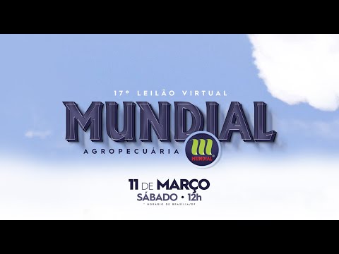 Lote 36   Tandara da Mundial   MUN 4425 Copy