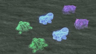 Tutorial on placement model in starcraft II