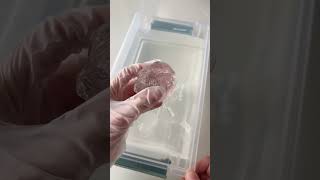 What does this look like to you? 🔍🫙 #clearslime #gel #slime #asmr #putty #usa #shortvideos