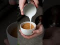 The basics of latte art goldenbrowncoffee barista latteart coffeeart freepour espresso