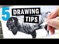 How to improve at DRAWING - 5 TIPS you should know!