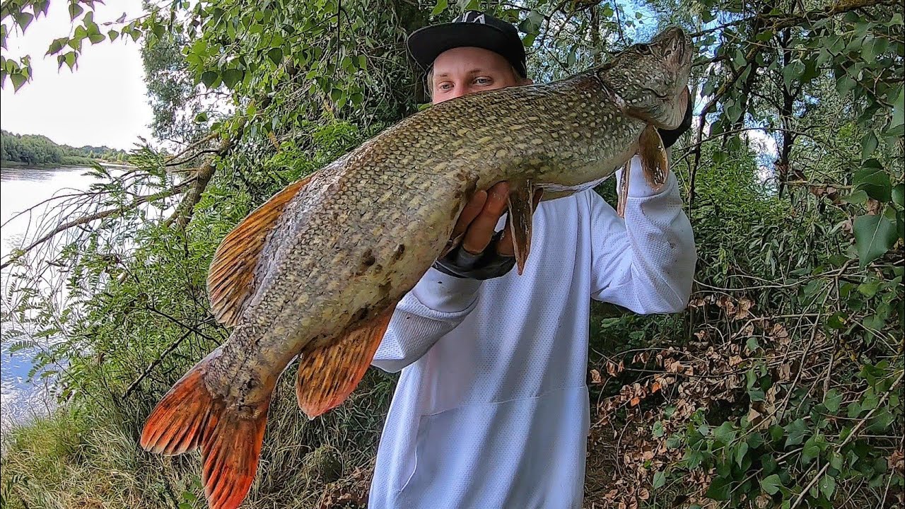 ТРОФЕЙНА риболовля на Десні. ДЖИГ в лютому коряжнику!