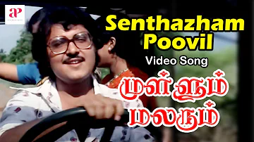 Mullum Malarum Tamil Movie Video Songs | Senthazham Poovil Video Song | Rajinikanth | Sarath Babu