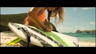 Bird Set Free - The Shallows