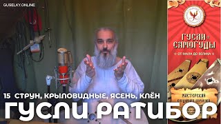 Гусли РАТИБОР. Сравнение ясеня и клёна