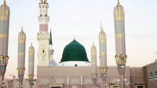Taaj Sheekh Saalax