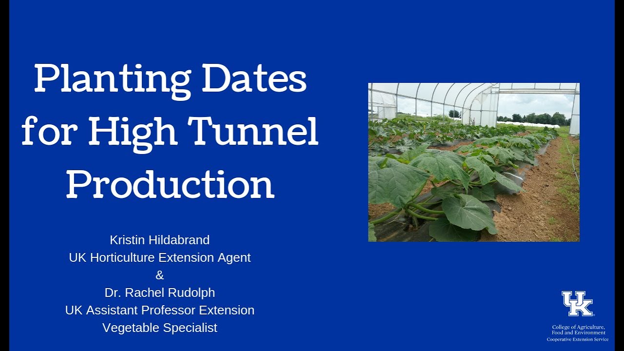 Planting Dates for High Tunnel Production - YouTube