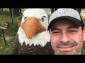 End of video