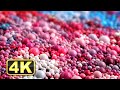 4k macro satisfying colorful liquid spheres relaxing music for meditation fall asleep fast paint