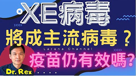 (中英字幕EngSub)XE病毒是什麼？會否引起大爆發？What is XE virus and how dangerous it is? - 天天要聞