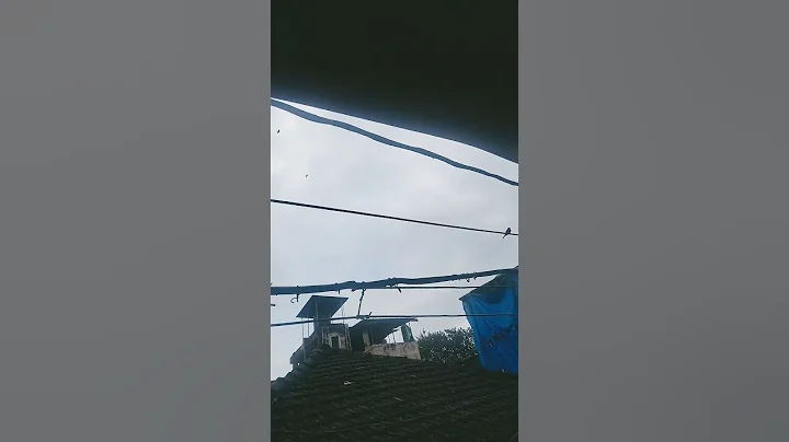 nature #music #love #song #lovesong #cutebaby #newsong #lifeisbutadream #whowillbemylifepartnerta