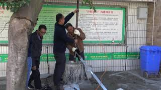 Geophysical Well Logging At 81120183