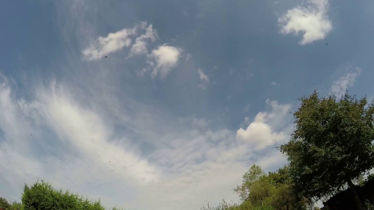 LES HIRONDELLES CHASSENT DES NUAGES DE MOUCHERONS YouTube — free download