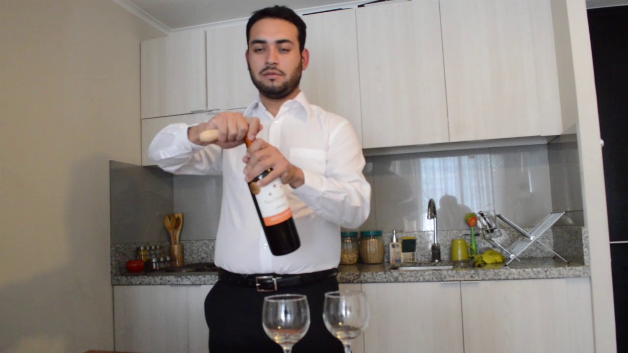 Tutorial - Cómo hacer una Cata de Vinos.