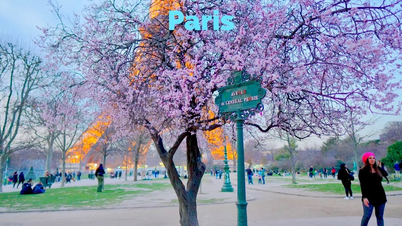 Paris, France | Louvre Museum | Walking Tour 4K