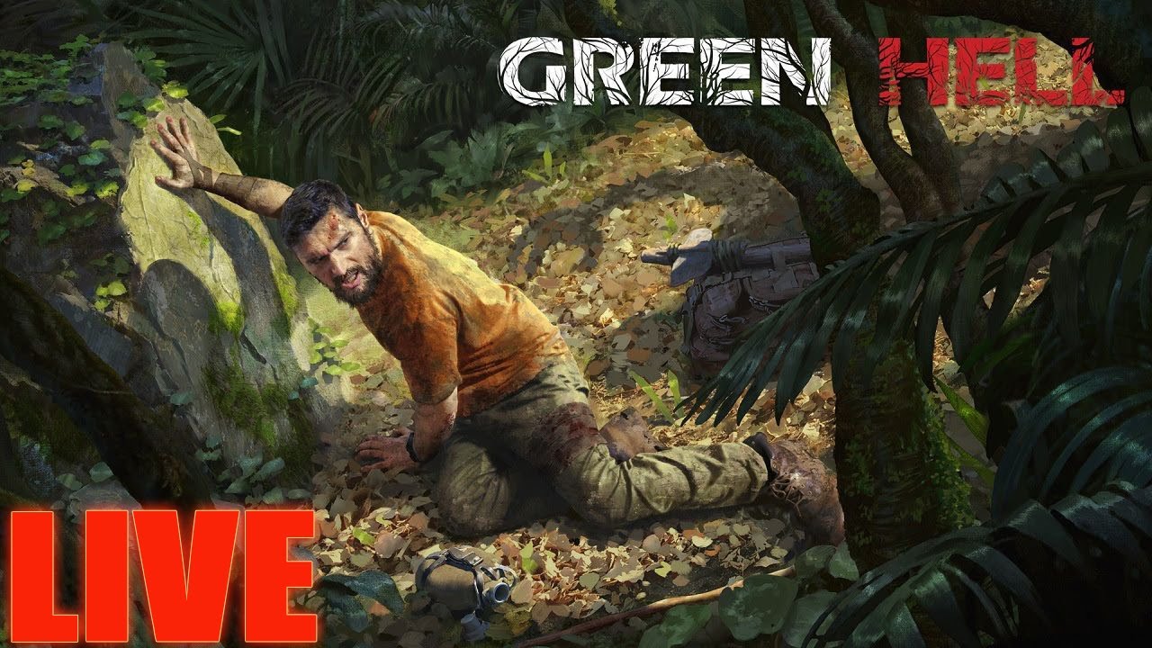 Green Hell: Jogo de sobrevivência vai se passar na Amazônia e tem trailer  divulgado! - Combo Infinito