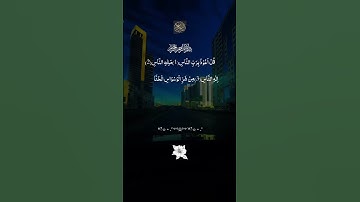 سوره الناس #قرآن #اكسبلور #قران_كريم #راحة_نفسية #المصحف #حالات_واتس #لايك