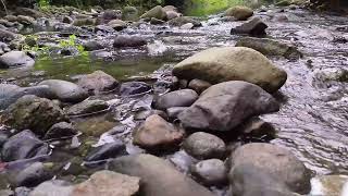 Reflective Rhythms: Study, Work, and Sleep by the Blue River [asmr]