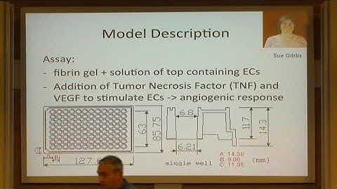Multiple Speakers | Cell-based modelling for wound contraction and angiogenesis