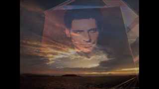 All My Sorrows (Picture Show) / Lindsey Buckingham