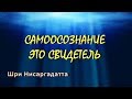 Самоосознание это свидетель [Шри Нисаргадатта, озв  Никошо]