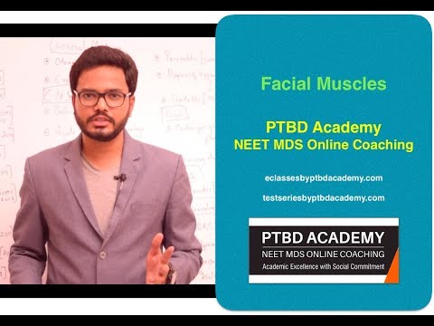 Reading facial muscles