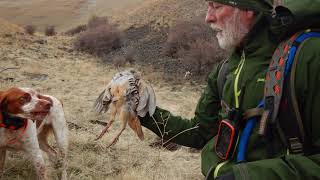 2019 Chukar Hunting by Bob McMichael 24,547 views 4 years ago 11 minutes, 53 seconds