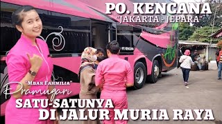 BIKIN HEBOH SATU TERMINAL ‼️ BUS DENGAN PRAMUGARI SATU- SATUNYA DI JALUR MURIA RAYA || PO KENCANA