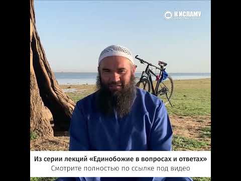 Что такое Единобожие? #shorts Ринат Абу Мухаммад