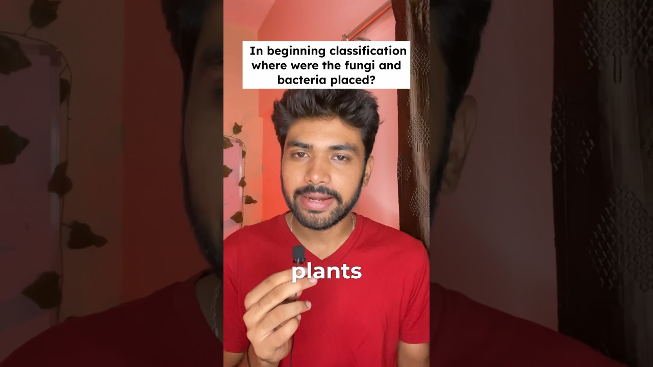 360/360 in NEET 2024 Biology | Revision Series for last 10 Days | Biological Classification class 11