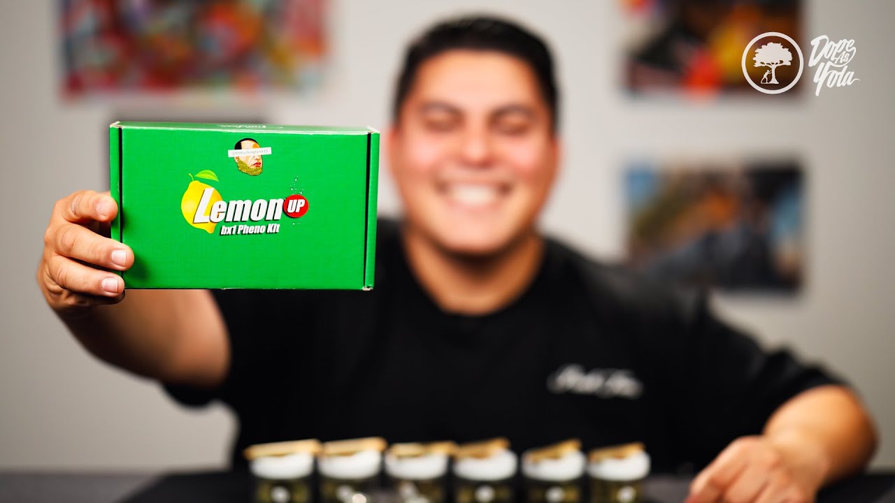 Всего 30 таких в мире!!!